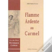Capa do artigo Flamme Ardente Au Carmel ; Vie Du Père Hermann Cohen