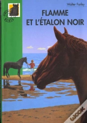 Capa do artigo Flamme Et L