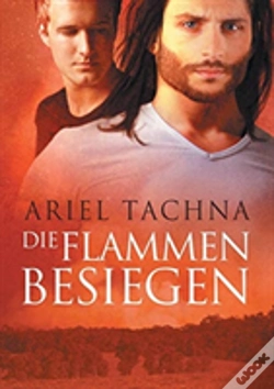 Capa do artigo Flammen Besiegen (Translation)