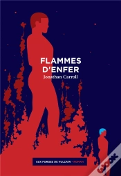Capa do artigo Flammes D