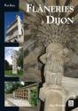 Flaneries A Dijon - Preview