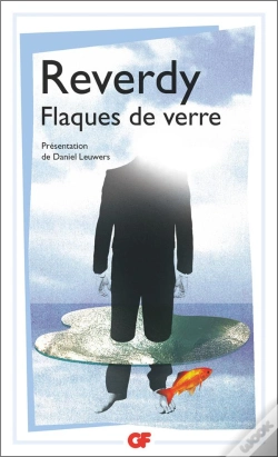 Capa do artigo Flaques De Verre