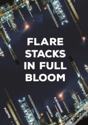 Capa do artigo Flare Stacks In Full Bloom