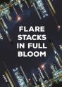 Flare Stacks In Full Bloom - Preview