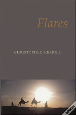Capa do artigo Flares