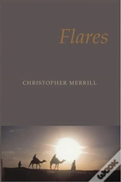 Capa do artigo Flares