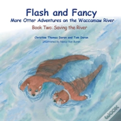 Capa do artigo Flash And Fancy - Book Two