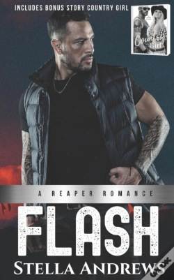 Capa do artigo Flash