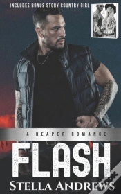 Capa do artigo Flash