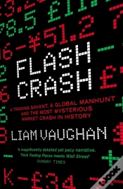 Capa do artigo Flash Crash