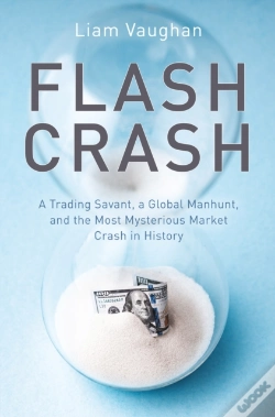 Capa do artigo Flash Crash
