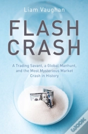 Capa do artigo Flash Crash