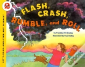 Flash Crash Rumble And Roll
