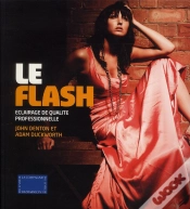 Capa do artigo Flash