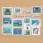 Flash Dreams Of A Career - Preview