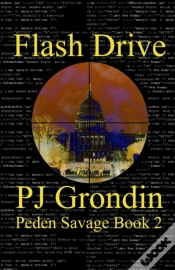 Capa do artigo Flash Drive