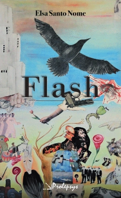 Capa do artigo Flash