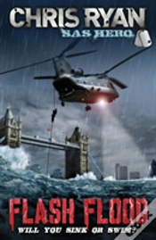 Capa do artigo Flash Flood