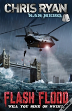 Capa do artigo Flash Flood