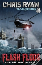 Capa do artigo Flash Flood