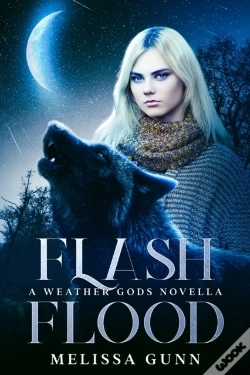 Capa do artigo Flash Flood