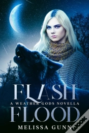 Capa do artigo Flash Flood