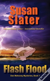 Capa do artigo Flash Flood