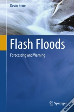 Capa do artigo Flash Floods