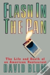 Capa do artigo Flash In The Pan