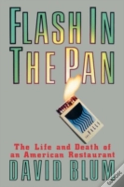 Capa do artigo Flash In The Pan