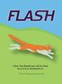 Flash - Preview