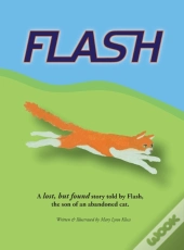 Flash