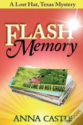 Flash Memory