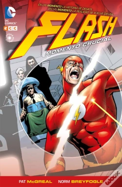 Capa do artigo Flash: Momento Crucial