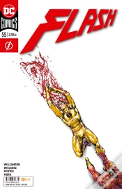 Capa do artigo Flash Num. 69/ 55