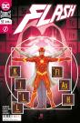 Flash Num. 71/ 57 - Preview
