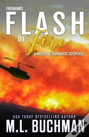 Capa do artigo Flash Of Fire