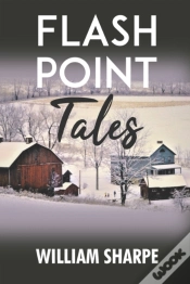 Capa do artigo Flash Point Tales