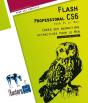 Flash Professional Cs6 Pour Pc/Mac - Creer Des Animations Attractives Pour Le Web - Preview