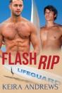 Flash Rip: Mm Gay Romance - Preview