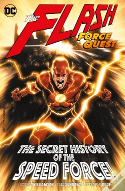 Capa do artigo Flash Volume 10