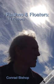Capa do artigo Flashes & Floaters