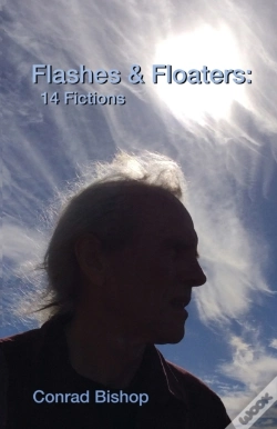 Capa do artigo Flashes & Floaters