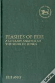 Capa do artigo Flashes Of Fire