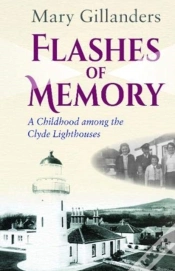 Capa do artigo Flashes Of Memory