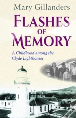 Capa do artigo Flashes Of Memory