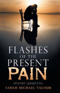 Flashes Of The Present Pain