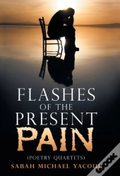 Flashes Of The Present Pain