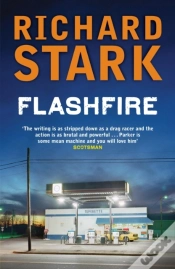 Capa do artigo Flashfire