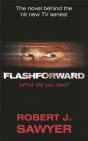 Flashforward - Preview
